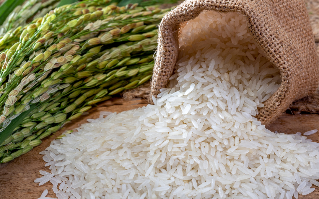 Le riz IGP de Camargue : riche en saveurs !
