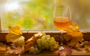 vins blancs d'automne