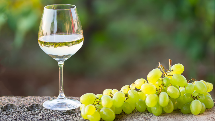 Vin Cairanne blanc Les Travers 2023 du Domaine Brusset 